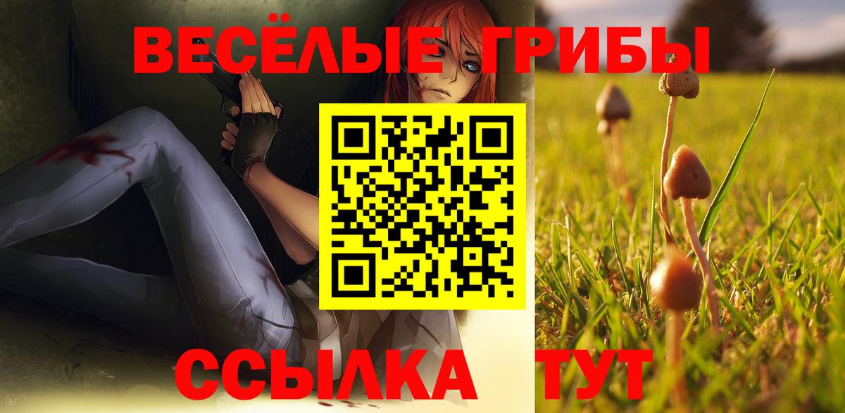 Псилоцибиновые грибы ЛСД Кохма