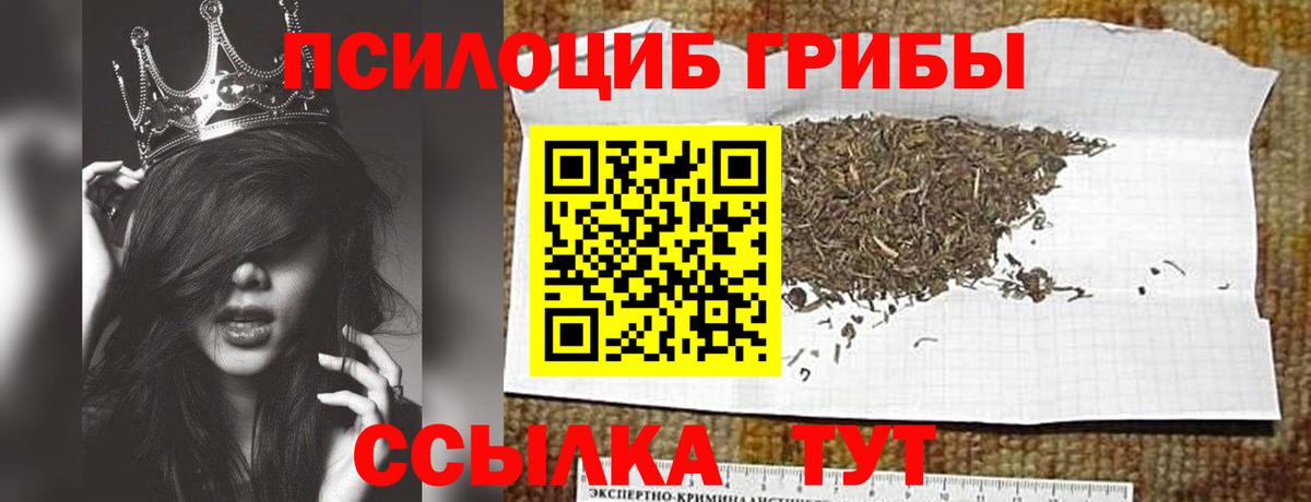 Кохма  Псилоцибиновые грибы мухоморы  Вход с VPN 